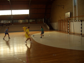 fudbal2010-1